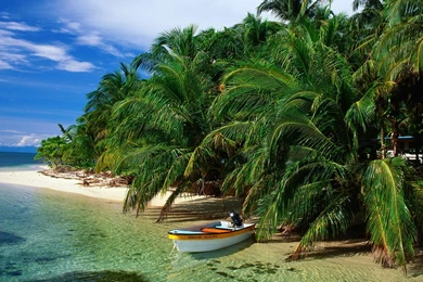 Beautiful Wallpapers Of Nature Wallpapers HD Wide