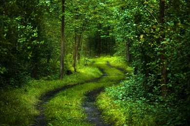 Full HD 1080p Road Wallpapers HD, Desktop Backgrounds 1920x1080 ...