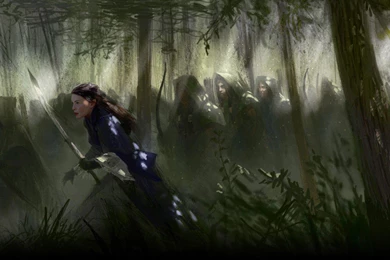 Arwen The Lord Of The Rings Wallpaper,movies HD Wallpapers ...