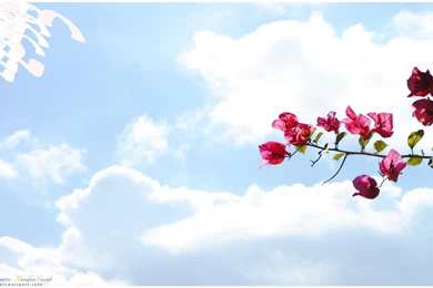 Imam Mahdi Aj Dualmonitor By Islamicwallpers On DeviantArt