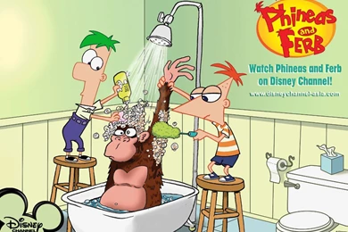 Phineas And Ferb Wala Lang Wallpapers (19006373) Fanpop