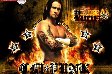 Cm Punk Tlc Wallpapers Wallpapers Pictures Gallery