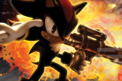 Baby Tiger Wallpapers : Animal Wallpapers Kokean.com