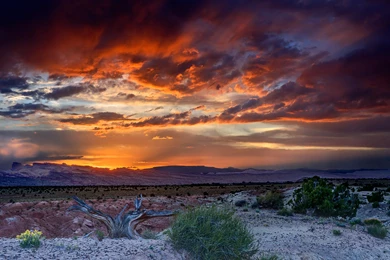 Desert Sunset Wallpapers Full HD – Wallpapers