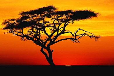 Desert Sunset Wallpapers Widescreen Kemecer.com