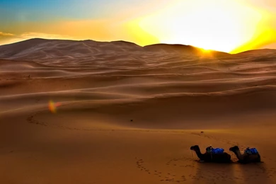 Desert Sunset Online Wallpapers HD