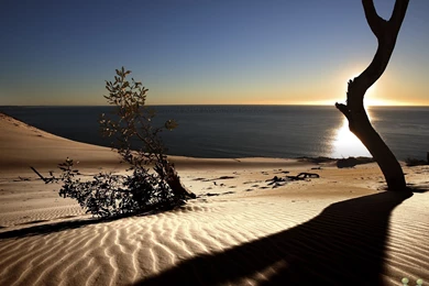 Desert Sunset HD Wallpapers – HD Wallpapers Free Download