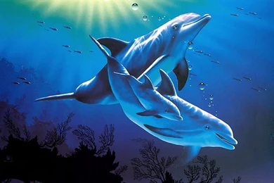 Gif As Desktop Backgrounds Wallpapers HD Fine