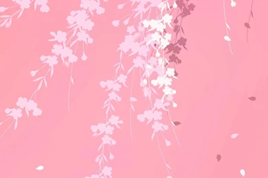 Pink Backgrounds Wallpapers