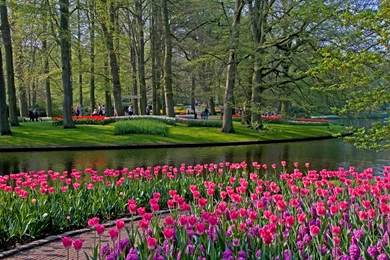 Keukenhof Garden HD Wallpapers Travel HD Wallpapers