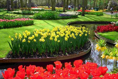 Artshop 4 pg.12.html