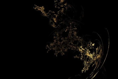 Black Gold Wallpapers Wallpapers HD Wide