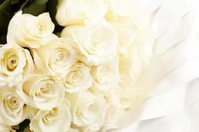 Free Download White Rose Flowers Bouquet 1080p Wallpapers ...