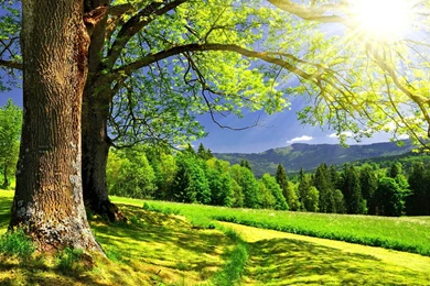 Other Wallpaper: Photography Canon Wallpapers Wide HD Backgrounds ...