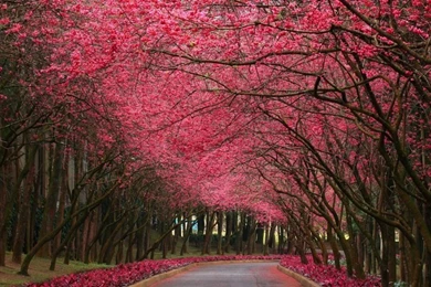 Beautiful Places Wallpapers ›› Free Beautiful Places In The World ...