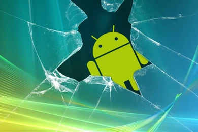 Curious Passer by Flikie Wallpapers