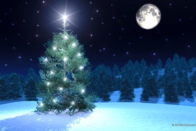 Christmas Tree Wallpapers 2560x1440