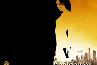 Need For Speed Undercover