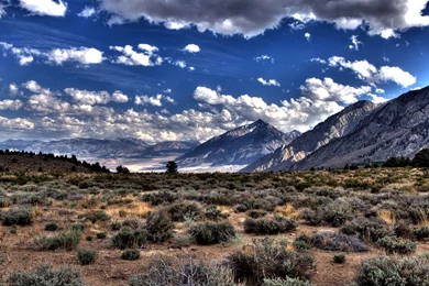 Desolate Desert Scenery Desktop Wallpapers 6 - Landscape ...