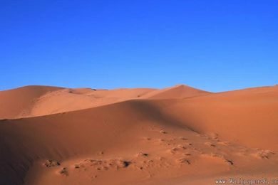 Desert Scenery - Landscape Wallpapers Free Download Wallpapers ...