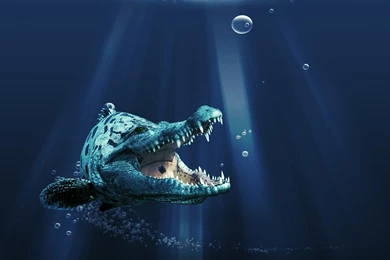 New 3d Wallpapers AsimBaBa