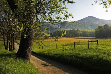 Rustic Scenary Widescreen Wallpapers