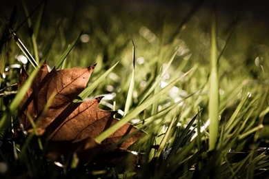 Wallpaper: Autumn Season Wallpapers 2