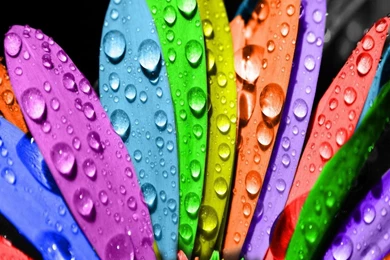 1440x1280 Mobile Phone Wallpapers Download 14 1440x1280 ...