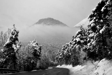 Winter Season Grayscale Roads Mountains Trees Forest Black White ...