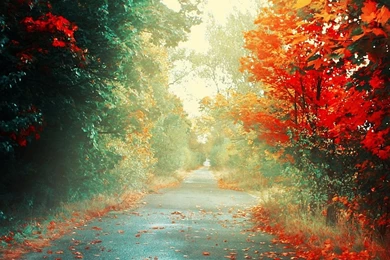 ParallaxWallpapers.net