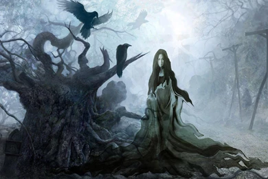 A WITCH IN A MYSTICAL FOREST WALLPAPER (
