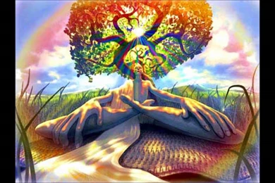 Trippy Wallpapers Wonderful F5T » WALLPAPERUN.COM