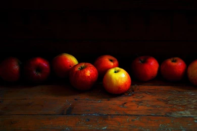 A Muchness Of Me: You Can Only Take A Stand For So Long, Then You ...