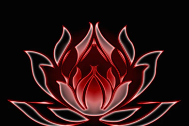 Neon Widescreen Wallpapers HQ 1440x900 Photo 48 Of 51