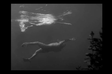 Creature From The Black Lagoon High Res Production Still. 1954 ...