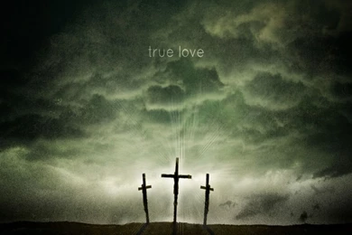 True HD Wallpapers Wallpapers Cave