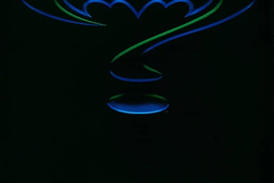 The Curator Of Schlock