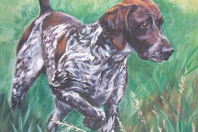 German Shorthaired Pointer Photos And Wallpapers. The Beautiful ...