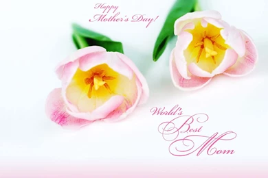 Greeting Wallpapers Wallpapers Zone