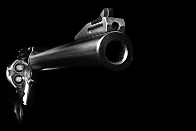 Photography Page 216