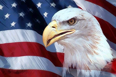 Patriotic Backgrounds