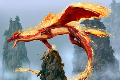 Dragons Wallpapers HD Wallpapers Cave