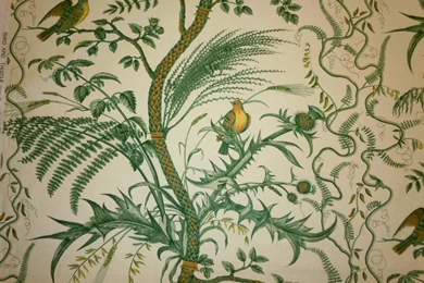 Brunschwig & Fils Bird & Thistle REMNANTS