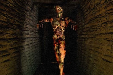 Dark Wing Zombie Hd Wallpapers (