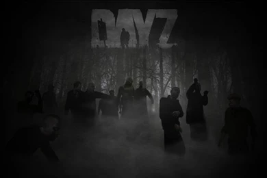 Dayz Zombie Night HD Wallpaper,video Games HD Wallpaper,night HD ...