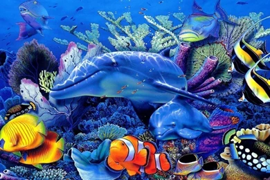 Ocean Underwater World Dolphin Coral Exotic Tropical Fish ...