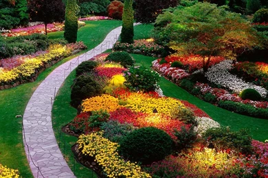 Beautiful Flower Garden Wallpapers