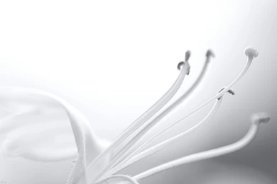 White Backgrounds 340Z Cool Backgrounds Naukriwall.com