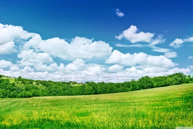 Summer Scenery HD Desktop Wallpapers : High Definition : Fullscreen ...