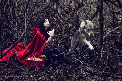 LITTLE RED RIDING HOOD WALLPAPER (